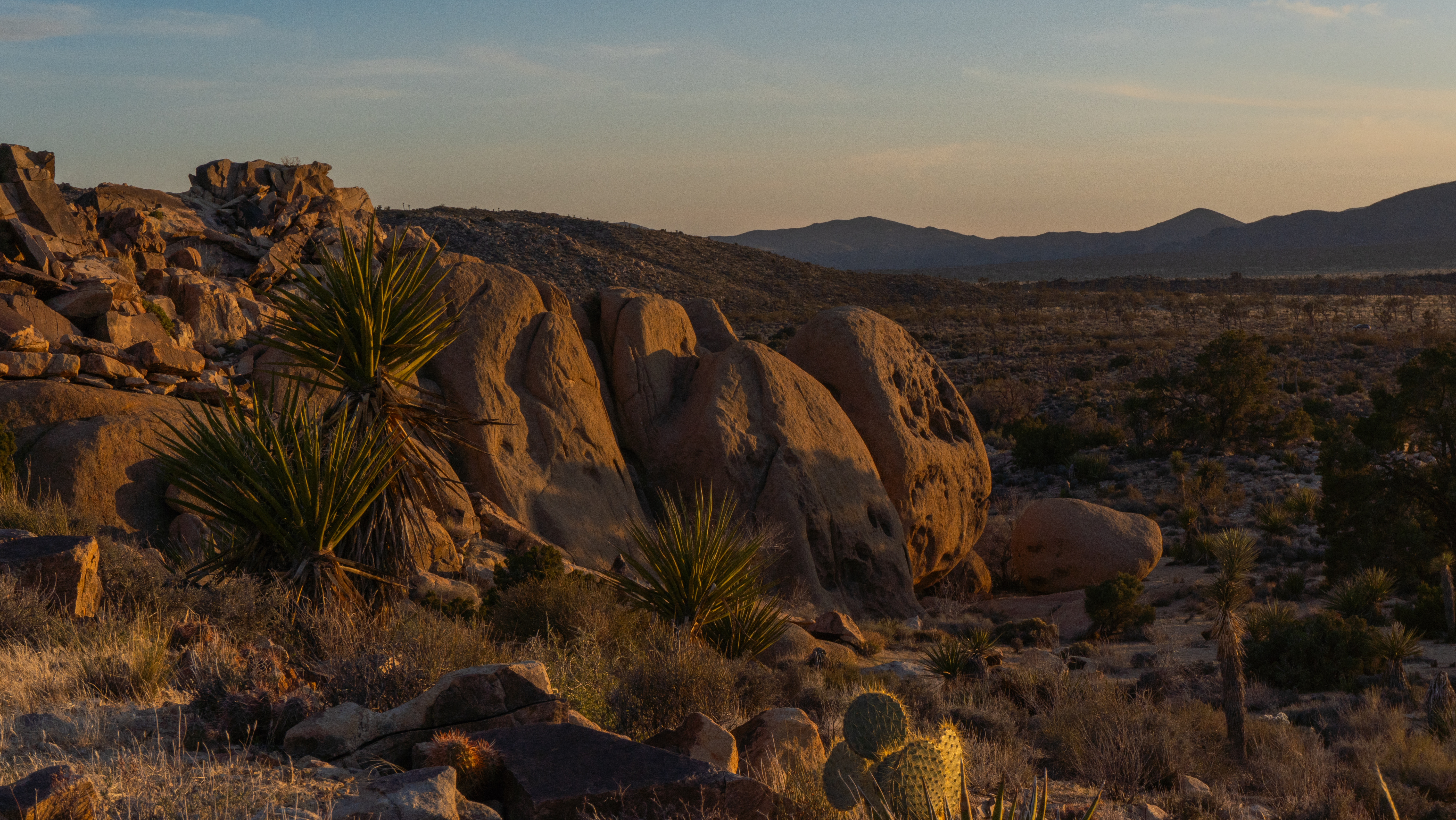 Joshua Tree Rocks